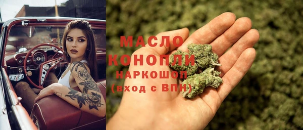 2c-b Бородино