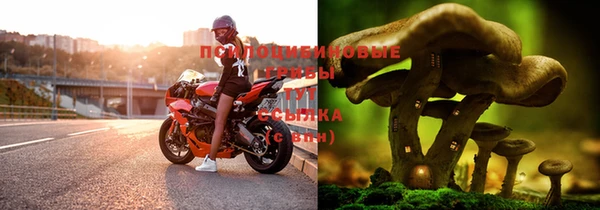 2c-b Бородино
